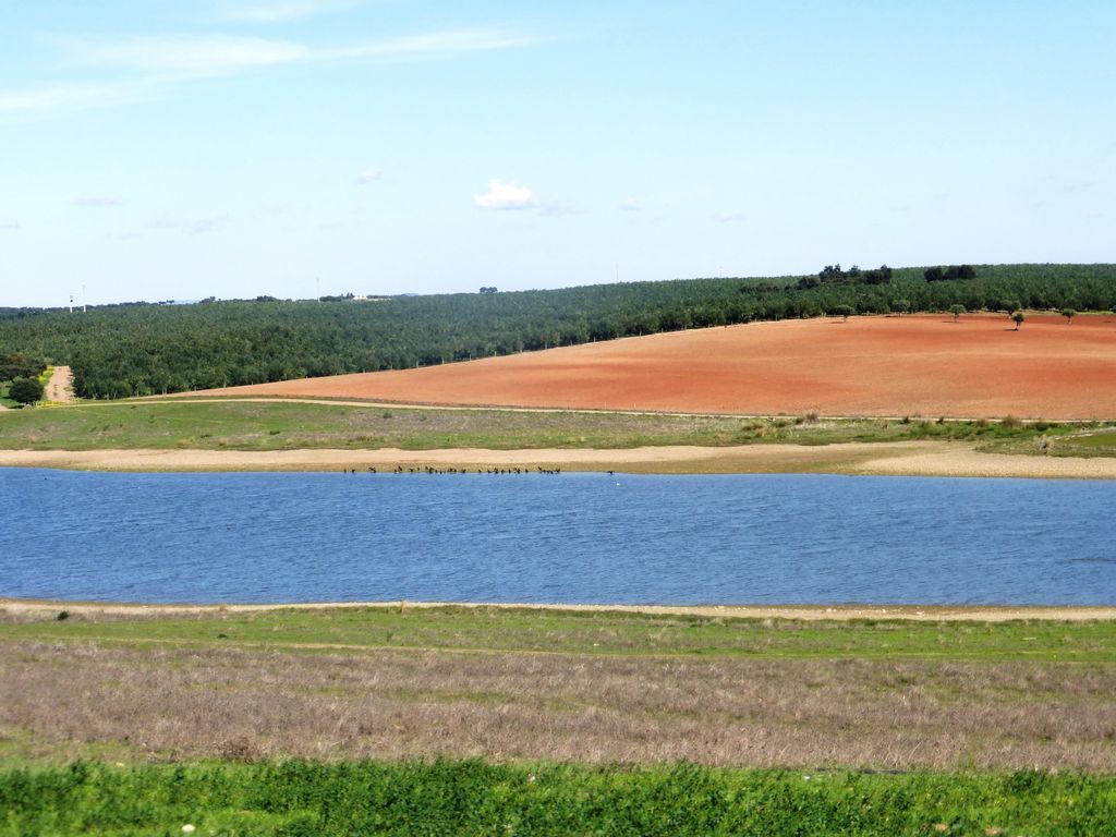 Herdade